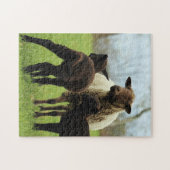 母と赤ん坊の動物の羊の写真動物 ジグソーパズル (横)