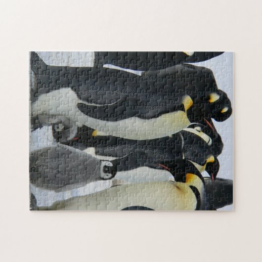 母と赤ん坊の動物ペンギン写真動物 ジグソーパズル (横)