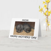 「母なる幸せな母の日」息子か娘から カード (黄色い花)