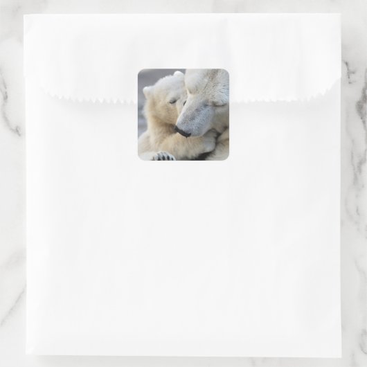 母なる愛 スクエアシール (バッグ)