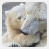 母なる愛 スクエアシール (正面)