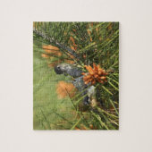 母によって食べ物を与えられているベビーのハチドリ ジグソーパズル (縦)