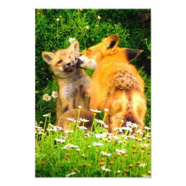 母のキス野生動物自然アートプリント フォトプリント