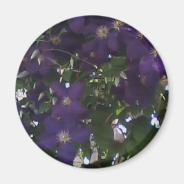 母のクレマティスの私の携帯電話の写真 マグネット