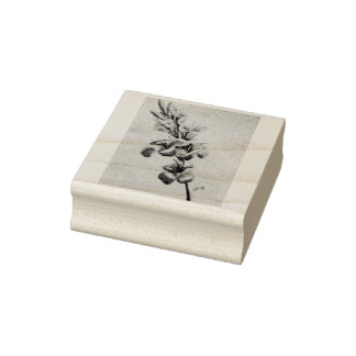 母のグラジオラス ラバースタンプ