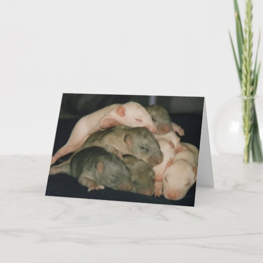 母のデイカード カード (正面)