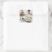 母の上で眠っている大きなダネの子犬 スクエアシール (バッグ)