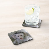 母の下のベビーのヒヒ コースター (右側)