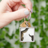 母の尾を調べている子ネコ キーホルダー (手)