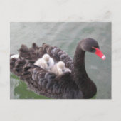 母の愛のポストカード ポストカード (正面)