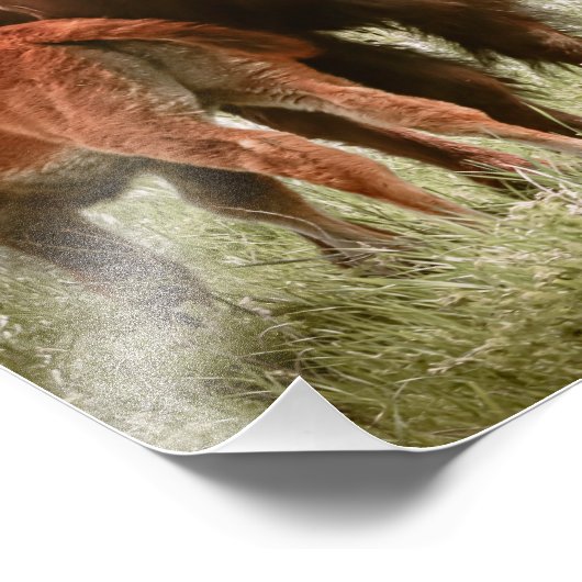 母の愛 フォトプリント            (角)