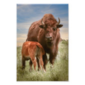 母の愛 フォトプリント            (正面)