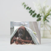 母の愛 ポストカード (スタンド正面)