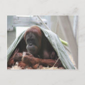 母の愛 ポストカード (正面)