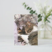 母の愛 ポストカード (スタンド正面)