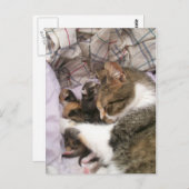 母の愛 ポストカード (正面/裏面)