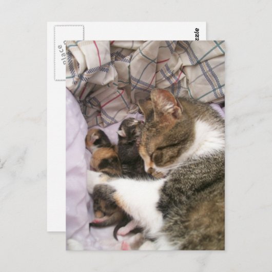 母の愛 ポストカード (正面/裏面)