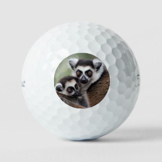 **「母の愛:ミイラとベビーのキツネザル」 ゴルフボール (正面)
