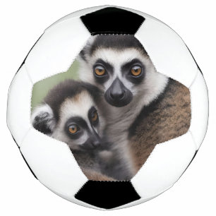 **「母の愛:ミイラとベビーのキツネザル」 サッカーボール