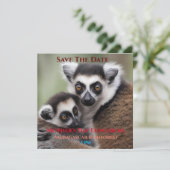 **「母の愛：ミイラとベビーのキツネザル」 セーブザデート (スタンド正面)