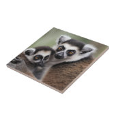 **「母の愛:ミイラとベビーのキツネザル」 タイル (側面)