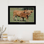 母の愛、牛が彼女のふくらはぎを舐める ポスター (キッチン)
