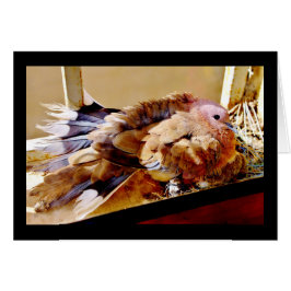 母の日おめでとう！