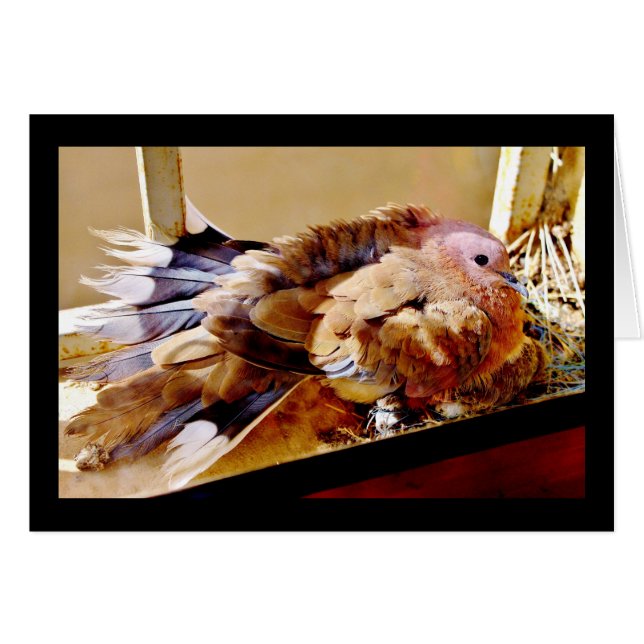 母の日おめでとう！ (正面横)