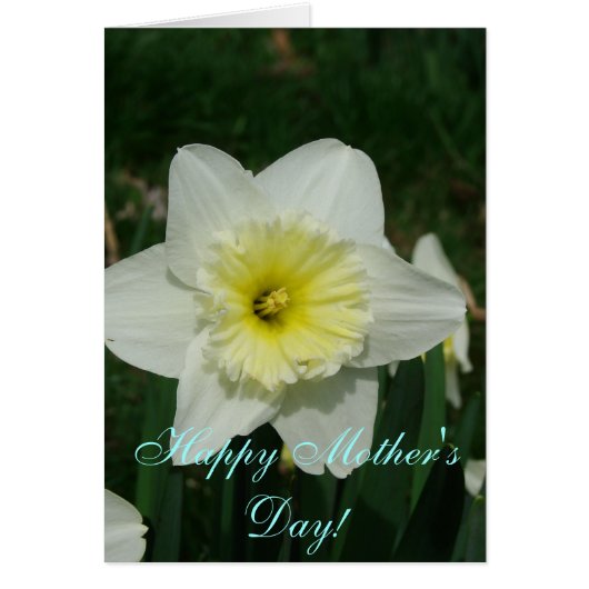 母の日おめでとう！ (正面)