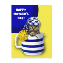 母の日おめでとう。かわいい子猫