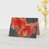 母の日おめでとう！ハイビスカスグリーティングカード カード (黄色い花)