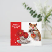 母の日おめでとう。ハメおもしろいスター ポストカード (スタンド正面)