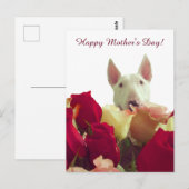 母の日おめでとう！ブルテリアとバラ ポストカード (正面/裏面)