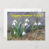 母の日おめでとう！ ポストカード (正面/裏面)