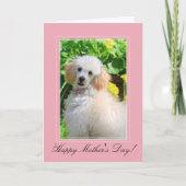 母の日おもちゃのプードルのグリーティングカード カード (正面)