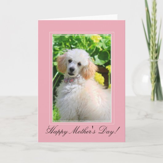母の日おもちゃのプードルのグリーティングカード カード (正面)
