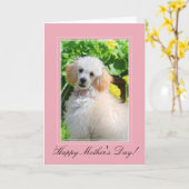 母の日おもちゃのプードルのグリーティングカード カード (黄色い花)