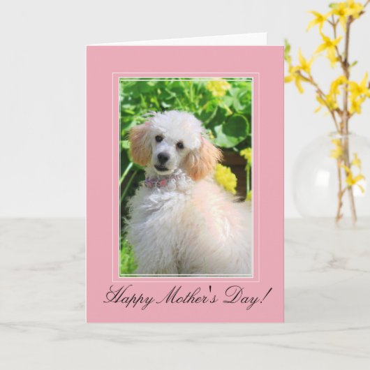 母の日おもちゃのプードルのグリーティングカード カード (黄色い花)