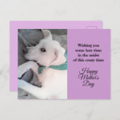 母の日かわいい怠惰な白い子犬ラベンダーホ シーズンポストカード (正面/裏面)