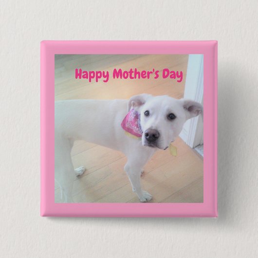 母の日かわいい白い子犬ピンク 缶バッジ (正面)