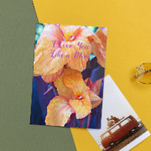 母の日が好きフローラ