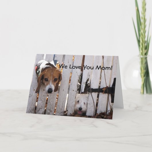 母の日が子どもを救う カード (正面)