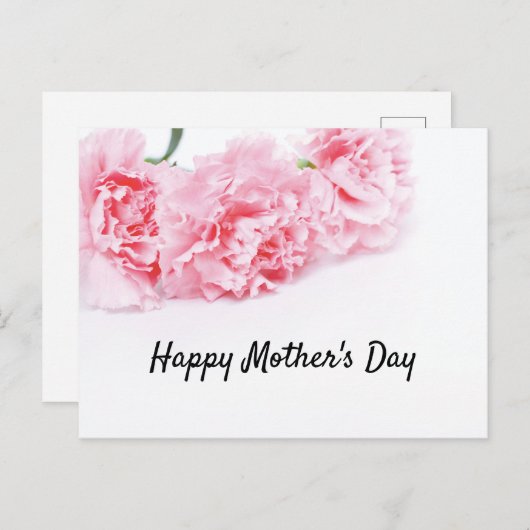 母の日にピンクのカーネーションフラワー シーズンポストカード (正面/裏面)