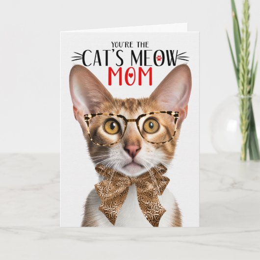 母の日に三色の東洋猫を母に シーズンカード (正面)