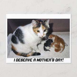 母の日に値する！ ポストカード