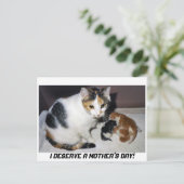 母の日に値する！ ポストカード (スタンド正面)