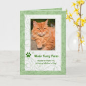 母の日に撮影したリッチグリーンの写真 カード (黄色い花)