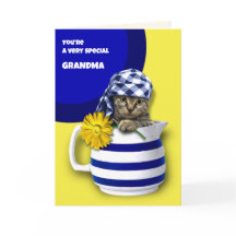 母の日のおばあちゃんのために。かわいい子猫