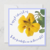 母の日のためのナスタチウムの花 カード (正面)