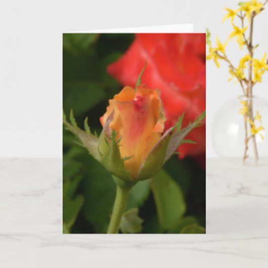 母の日のばら色カード カード (黄色い花)